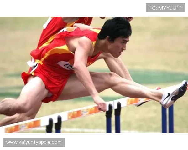 KY体育集团官网全面介绍体育赛事资讯与最新动态助你掌握第一手体育新闻